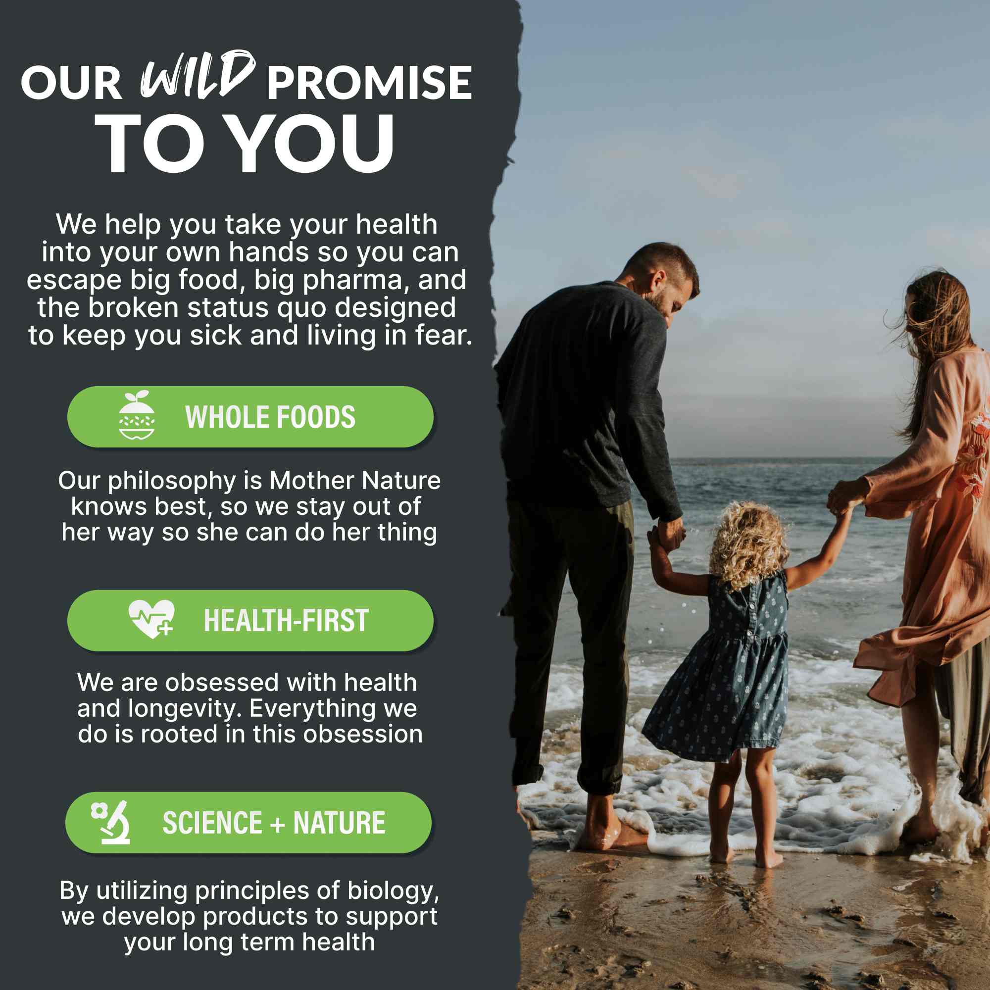 Prebiotics & Probiotics – Gut Health & Digestion Support