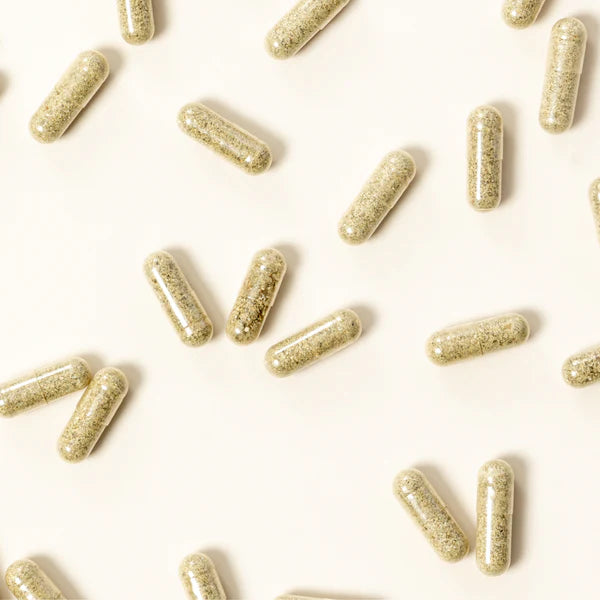 Probiotic Prenatal+, 30 Servings