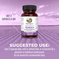 Probiotic Prenatal+, 30 Servings
