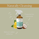 Everyday Spray Cleaner