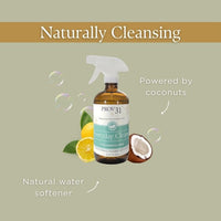 Everyday Spray Cleaner