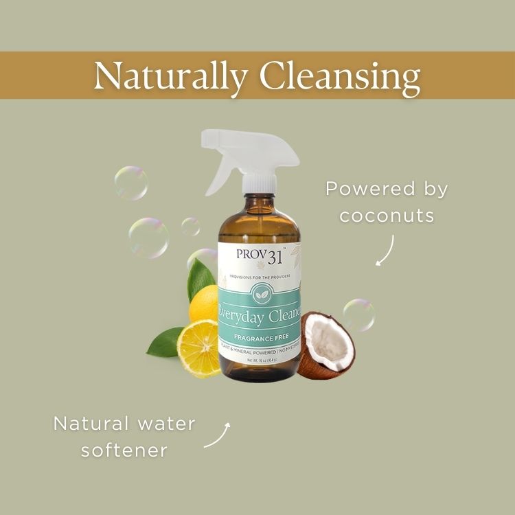 Everyday Spray Cleaner