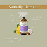 Bathroom Spray Cleaner