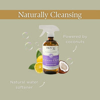 Bathroom Spray Cleaner