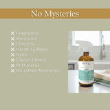 Everyday Spray Cleaner