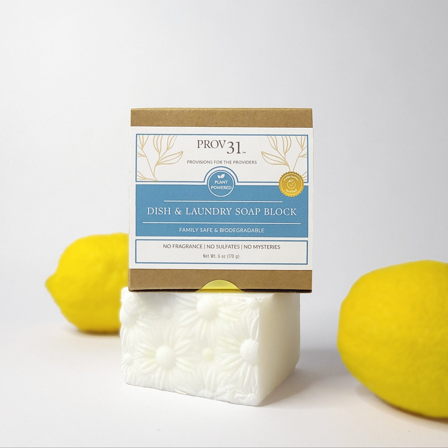 Dish & Laundry Soap Block