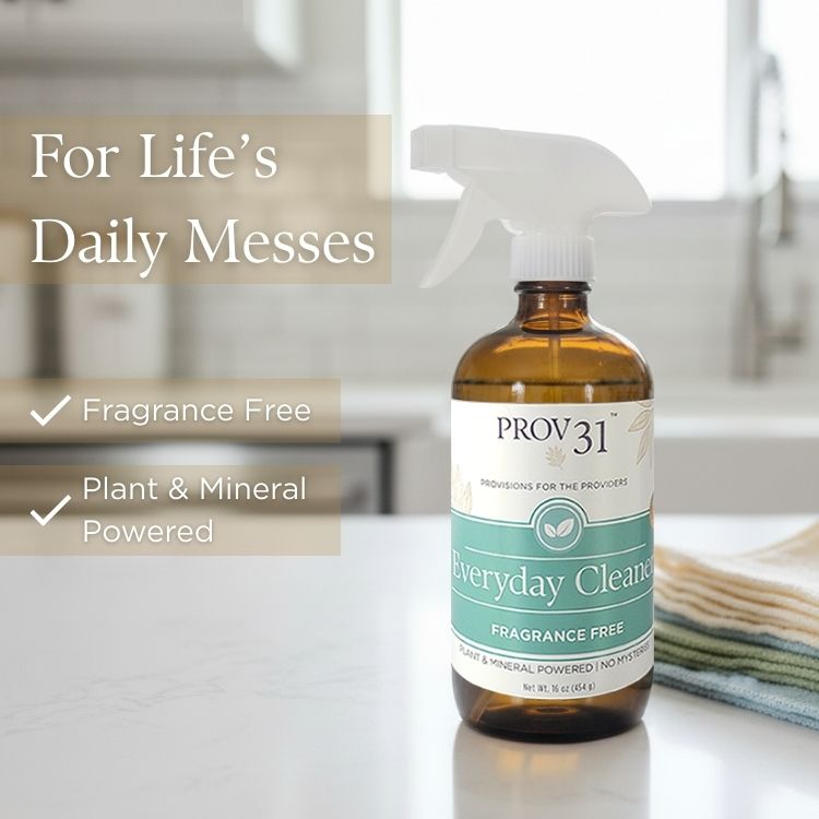 Everyday Spray Cleaner