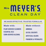 Lemon Verbena Mirror & Window Cleaner