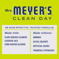 Lemon Verbena Mirror & Window Cleaner