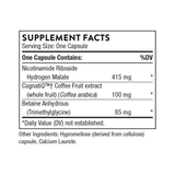 Brain Factors, 30 Servings
