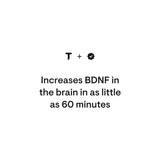 Brain Factors, 30 Servings