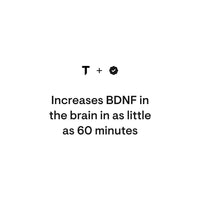 Brain Factors, 30 Servings