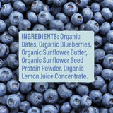 Blueberry Blast Kids Bar
