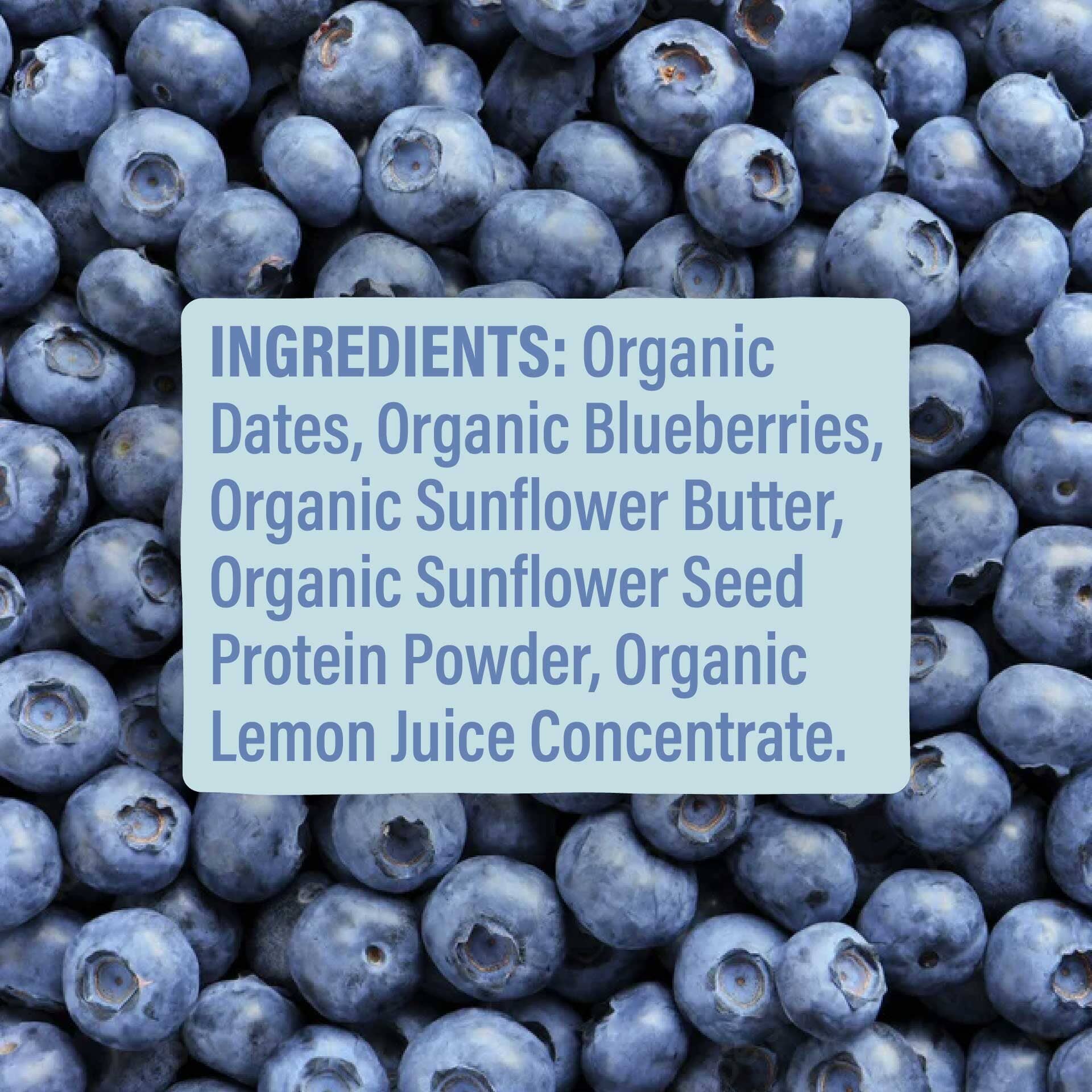 Blueberry Blast Kids Bar