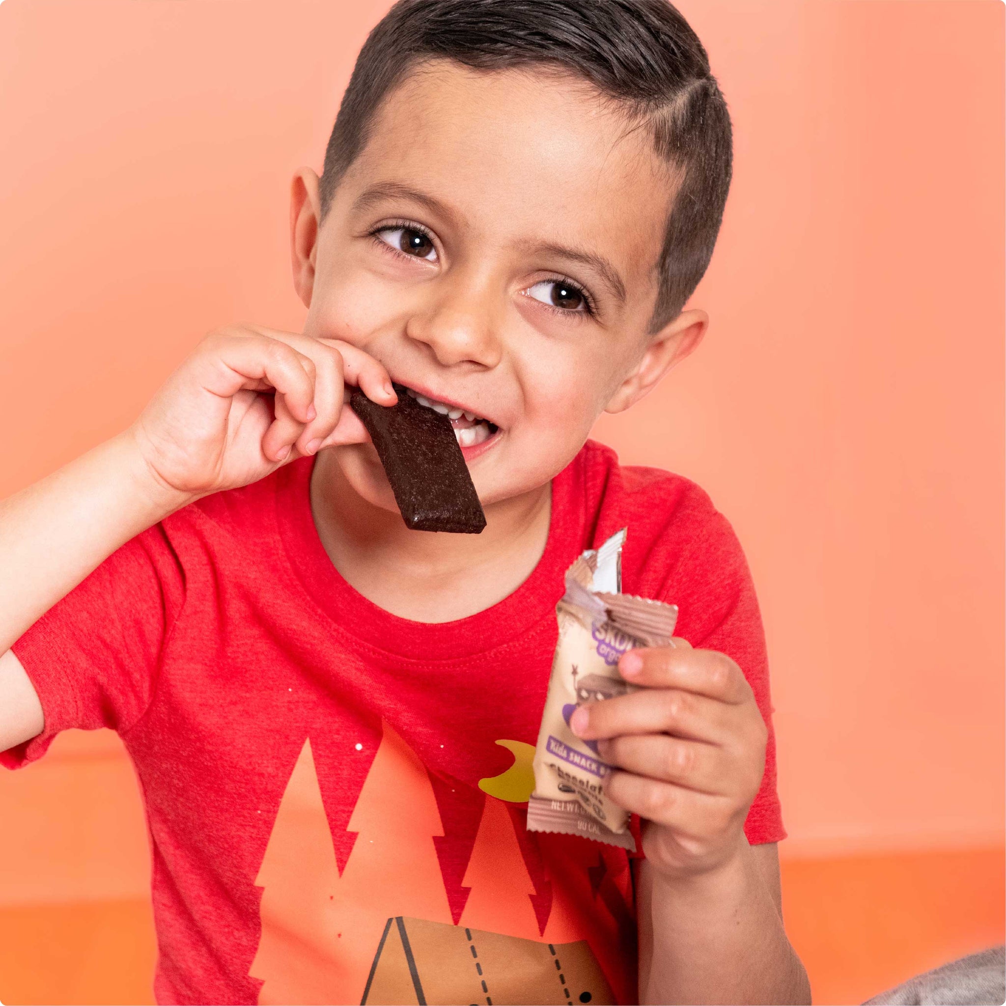 Chocolate Brownie Kids Bar