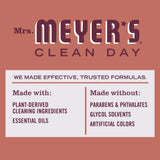 Fall Leaves Multi-Surface Everyday Cleaner