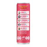 Sparkling Watermelon Splash - 12 Pack