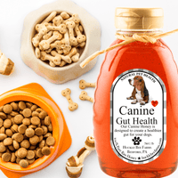 K9 Honey: Vet-Approved Allergy Relief & Immune Support