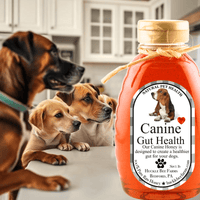 K9 Honey: Vet-Approved Allergy Relief & Immune Support