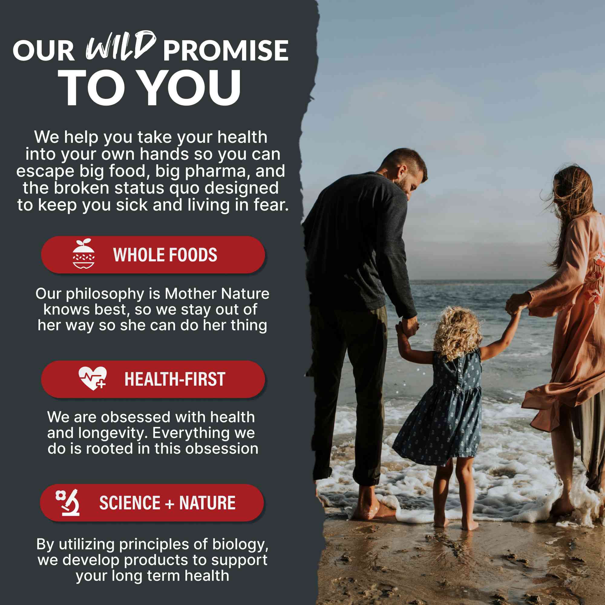 Focus Nootropic Blend – Cognitive Support for Memory & Focus