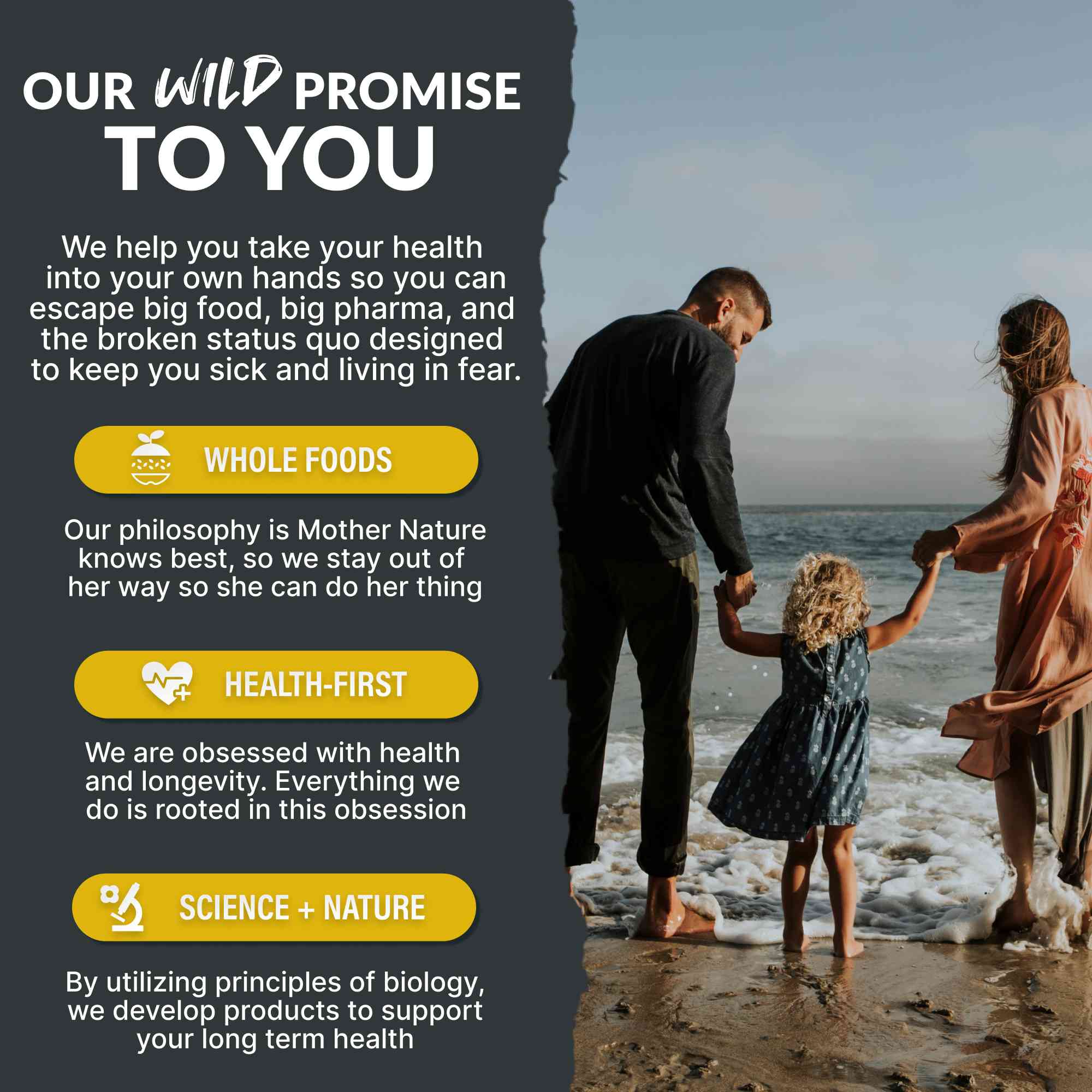 Wild Man Herbal Stack – Male Hormone Balance & Performance