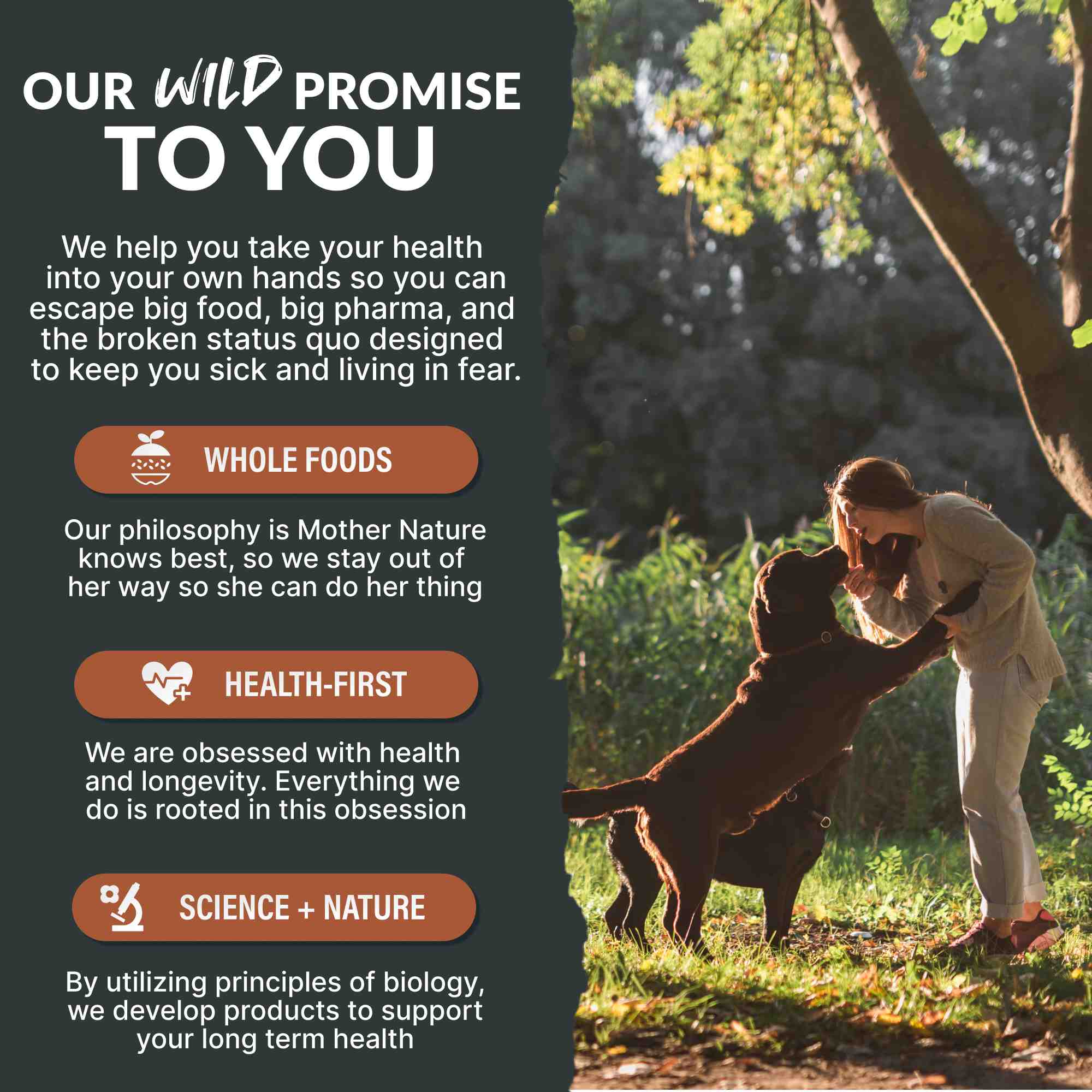 Wild Bone Broth for Pets, Gut & Immune Support